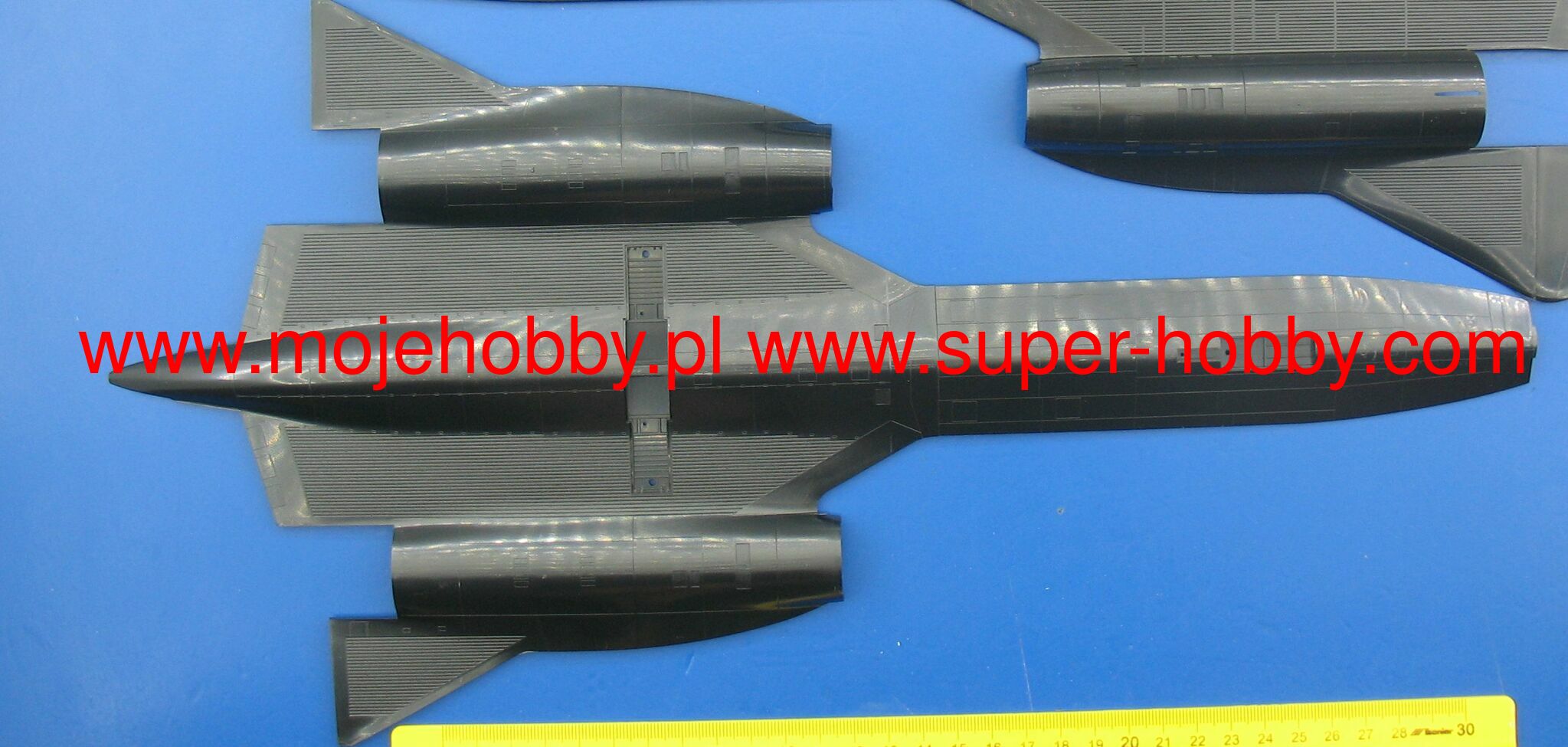 SR-71A Blackbird w/D-21B Drone Hasegawa 02041